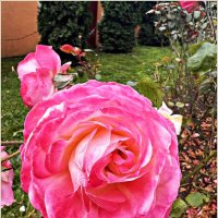 Осенняя. :: Валерия Комова