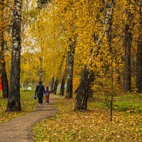 Яркие краски осени. :: Петр Беляков