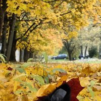 Какова вкуснотища! :: Светлана 13.06.