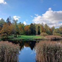 Глухое(Филькино) озеро. :: Лия ☼