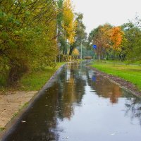 В нашем парке осень :: Тамара Вебер