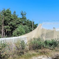 Ловушка для птиц. :: Ольга 