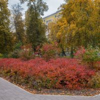 Осень в сквере :: Александр Синдерёв