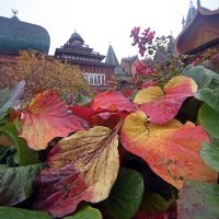 Коломенское 8 октября :: Михаил Бибичков