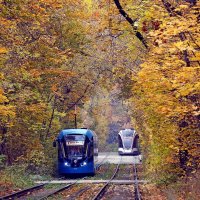 Сокольники 8 октября :: Михаил Бибичков