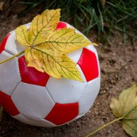 Сезон закрыт... :: Николай Гирш