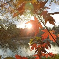 "Ну, что поделать... Я-мечтатель" :: veilins veilins