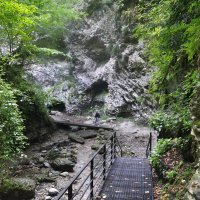 *** :: Марина Виноградова