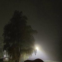 Туманный вечер :: Oleg S 
