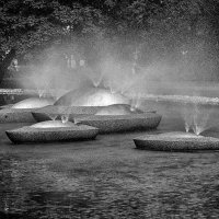 Лодочки :: Регина 