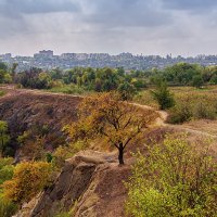 Пейзаж :: Светлана Ищенко