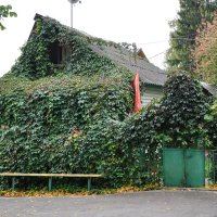 Живописный дачный домик :: Татьяна Машошина