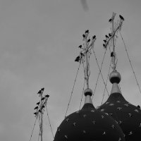 Птицы на крестах :: Мария Яковлева