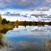Золотая осень Смоленщины. :: Милешкин Владимир Алексеевич 