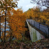 * * * :: Андрей Лукьянов