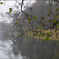 Октябрь :: Наталья Rosenwasser