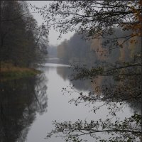 Октябрь, туман :: Наталья Rosenwasser Октябрь, туман :: Наталья Rosenwasser