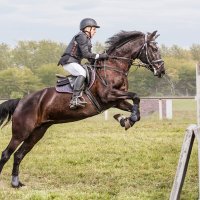 Конкур :: SanSan 