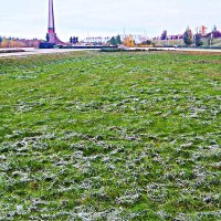 Октябрь...Зеленая трава и первый снежок! :: Владимир 
