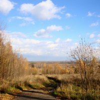 светлый и сухой октябрь ... :: Галина Флора