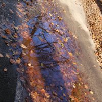 Осенние узоры тротуаров :: Ольга Осенние узоры тротуаров :: Ольга