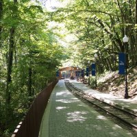 Гуамское ущелье :: Сергей Запорожцев