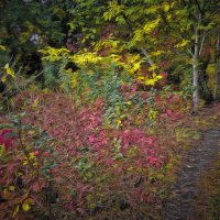 Untitled. :: Андрей. 