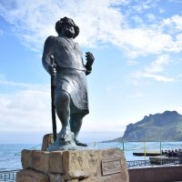 Природа Крыма :: Amazing Cosmea