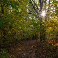 Солнечный сентябрьский пейзаж :: Александр Синдерёв