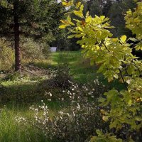 Дело к осени :: Виктор Никитенко