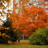 Осенние сумерки. :: Татьяна Помогалова Осенние сумерки. :: Татьяна Помогалова