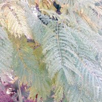 13  ОПЕН (486) :: OPEN WAYS ALL