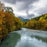 Кавказский заповедник кордон "Гузерипль", Адыгея. :: Дина Евсеева