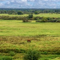 В сентябре :: Игорь Сикорский