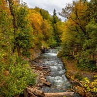 Река Молчепа . Кавказский заповедник кордон "Гузерипль", Адыгея. :: Дина Евсеева