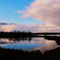 Отражение :: Сергей Никифоров