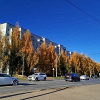 Жизнь города :: светлана льдокова