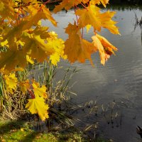 *** :: Геннадий Порохов