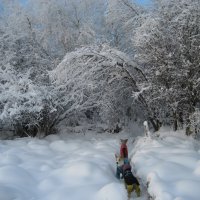 По тропинке :: Anna Ivanova