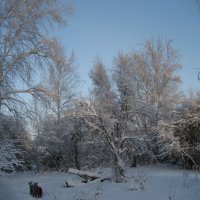 Зимние прогулки :: Anna Ivanova