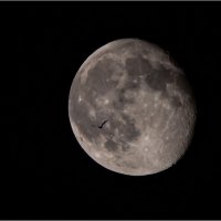 Суперлуние 2025 :: Игорь Волков