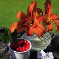 Сочное лето .. :: Татьян@ Ивановна Сочное лето .. :: Татьян@ Ивановна