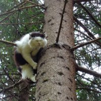 Страшно :: Наталья 