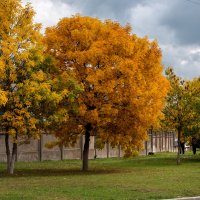 Пестрые краски осени. :: Сергей Воротников