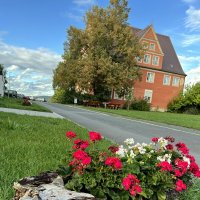 ´´´´ :: "The Natural World" Александер