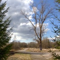 Колотушино :: Артем 