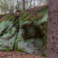 Прилег :: Евгений Тарасов 