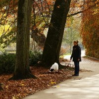 Прогулка :: Юрий. Шмаков