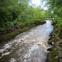 р. Стрелка :: Наталья Герасимова