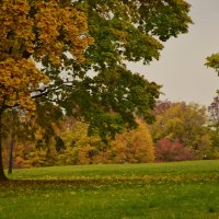 Парк Коломенское :: Мария Яковлева